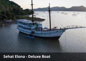 Sehat Elona Phinisi