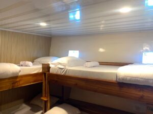 Dolphin Cabin